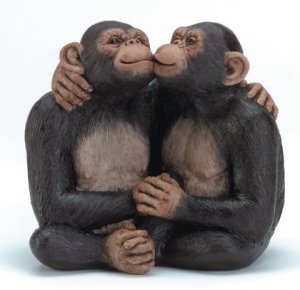 Love Chimps