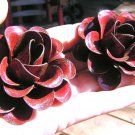 TWO Large metal Red Roses, flowers for embellishments, accents, iron art ec