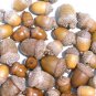 40 dried acorns WITH caps for crafts, Mix sizes