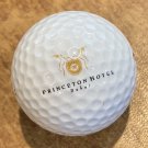 Princeton Hotel Dubai Logo Golf Ball Avanti Top-Flite XL Princeton Hotel Dubai Logo Golf Ball Avanti Top-Flite XL