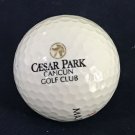 Cesar Park Golf Club Logo Golf Ball Cancun MX Maxfli MD-90 Cesar Park Golf Club Logo Golf Ball Cancun MX Maxfli MD-90