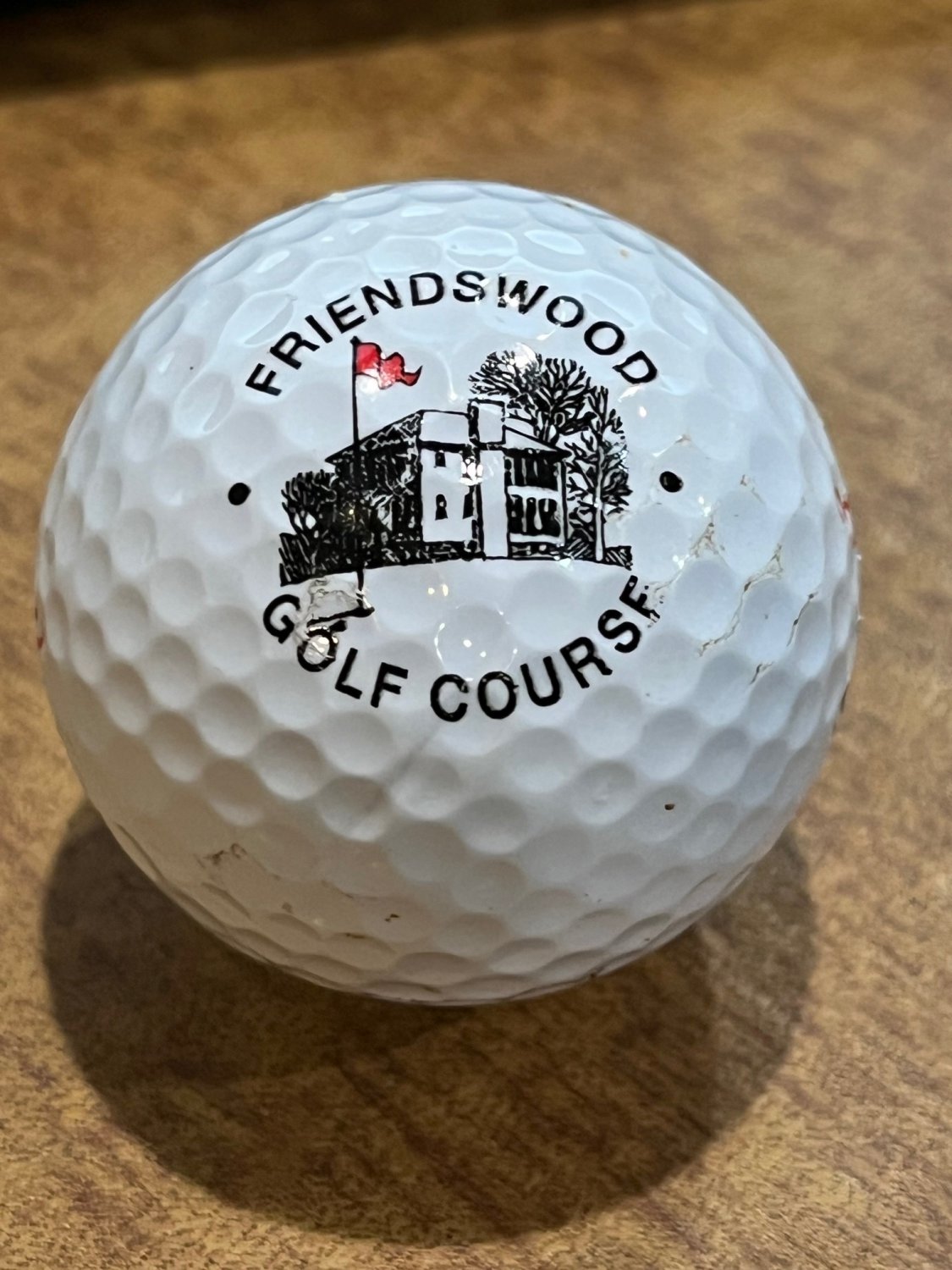 Friendswood Golf Course Logo Golf Ball Camby IN