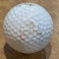 Friendswood Golf Course Logo Golf Ball Camby IN