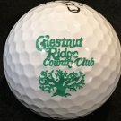 Chestnut Ridge Country Club Logo Golf Ball Lutherville, MD Closed