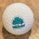 Chestnut Ridge Golf Club Logo Golf Ball Blairsville, PA Top-Flite II