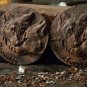 Female model WOLFS!!! Wooden wristwatch. Wooden bracelet. A gift for her