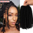 Ombre Twist Hair - Synthetic Crochet Braids - Passion Twist