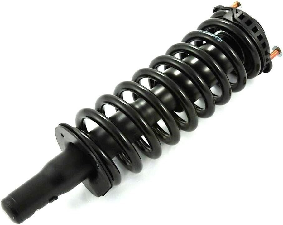 Envoy/Trailblazer Strut Assembly OE Replacement w/Spring D171341 Left or Right