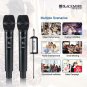 Blackmore Pro Audio BMP-12 BMP-12 Dual Wireless UHF Microphone System