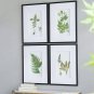 Set of 4 Botanical Black And White Fern Wall Art , Wall Decor for Living Room Dining Room Entryway