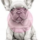 4 Printable Premium French Bulldog Puppy Coloring Pages