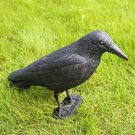 2pcs Haunted House Crow Decoration Halloween Crow Figurine Black