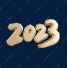 B202308