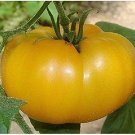 100 PCS Seeds 'Aunt Gertie's Gold' Organic Yellow Beefsteak Heirloom Tomato Bonsai