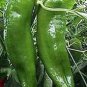30 PCS Seeds 'Cow-horn' Large Long Cayenne Pepper Vegetable