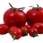 100 PCS Seeds 'Honglian' Small Big Mixed Dark Red Tomato Hybrid F1 Tomato