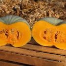 8 PCS Seeds 'Imperial Crown' Pumpkin Ornamental Squash