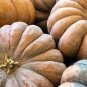 8 PCS Seeds 'Imperial Crown' Pumpkin Ornamental Squash