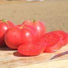 5 PCS Seeds 'Lingyue' Pink Tomato Hybrid 5 PCS Seeds 'Lingyue' Pink Tomato Hybrid