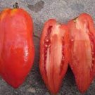100 PCS Seeds 'Opalka' Organic Polish Heirloom Tomato