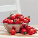 100 PCS Seeds 'Piccolo Cherry' Tomato 100 PCS Seeds 'Piccolo Cherry' Tomato