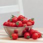 100 PCS Seeds 'Piccolo Cherry' Tomato
