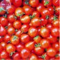 100 PCS Seeds 'Piccolo Cherry' Tomato