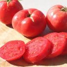 100 PCS Seeds 'Pink Girl' Big Bunches of Tomato