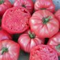 100 PCS Seeds 'Pink Girl' Big Bunches of Tomato
