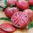300 PCS Seeds 'Purple Shengnv' Indeterminate Tomato 300 PCS Seeds 'Purple Shengnv' Indeterminate Tomato