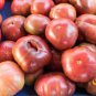 300 PCS Seeds 'Purple Shengnv' Indeterminate Tomato