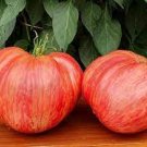 20 PCS Seeds 'Summer Pink' Big Truss Tomato