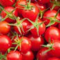 100 PCS Seeds 'Tonglin' Small Round Rose Red Cherry Tomato