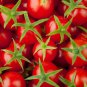 100 PCS Seeds 'Tonglin' Small Round Rose Red Cherry Tomato