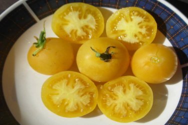 100 PCS Seeds 'Wapsipinicon Peach' Organic Heirloom Tomato