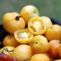 100 PCS Seeds 'Wapsipinicon Peach' Organic Heirloom Tomato