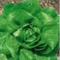1 PCS Seeds Lettuce Purple Red Green Vegetables