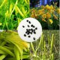 20 PCS Seeds Day Lily Flower Vegetables