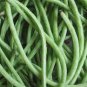 20 PCS Seeds 40 inch Super Long Green Cowpea Organic Vegetables