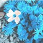 100 PCS Seeds ACID Blue Oxalis Seeds Wood Sorrel Flowers