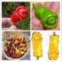 200 PCS Seeds ADB Inc Penis Chill Red Hot Peter Pepper