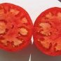 100 PCS Seeds Adelebe Bright Red Big Tomato