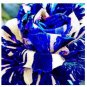 3 PCS Seeds Adenium obesum Seeds Blue with White Stripes