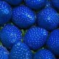 100 PCS Seeds African Blue Strawberry