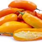 100 PCS Seeds Aji Amarillo Chile