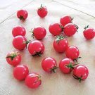 300 PCS Seeds American Pink Long Tomato Organic 300 PCS Seeds American Pink Long Tomato Organic