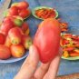 300 PCS Seeds American Pink Long Tomato Organic