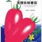 300 PCS Seeds American Pink Long Tomato Organic