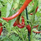 35 PCS Seeds Anhui Green Long Sweet Cow-horn Pepper F1 35 PCS Seeds Anhui Green Long Sweet Cow-horn Pepper F1