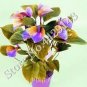100 PCS Seeds Anthurium Andraeanu Bonai Plant Colorful Anthurium Potted Flowers